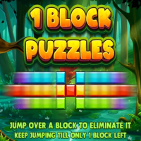 1 Block Puzzles img