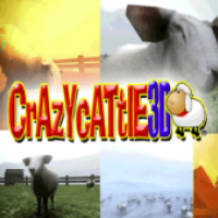 Crazy Cattle 3D img